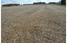 Property photo 24 - 75.3 Acres Offered in 2 Tracts